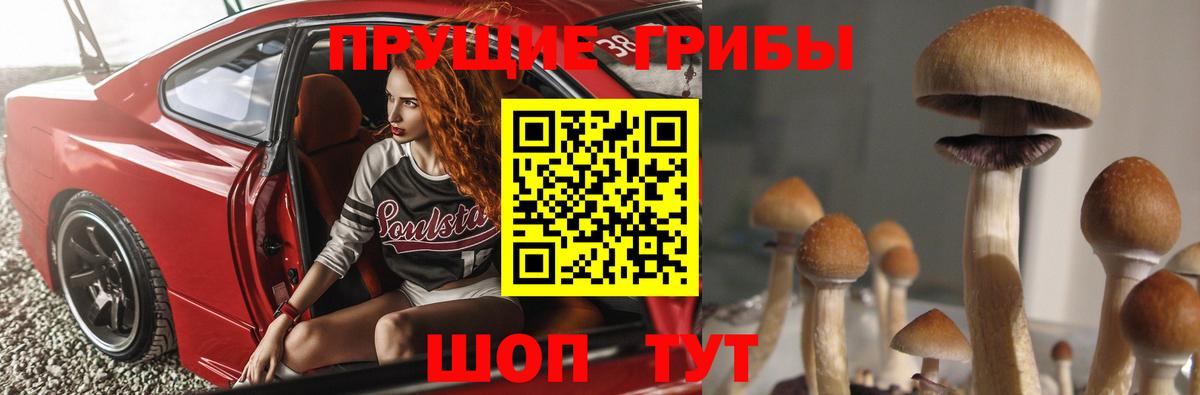 Галлюциногенные грибы Psilocybine cubensis  Галлюциногенные грибы мухоморы  Вход с VPN  Шадринск 
