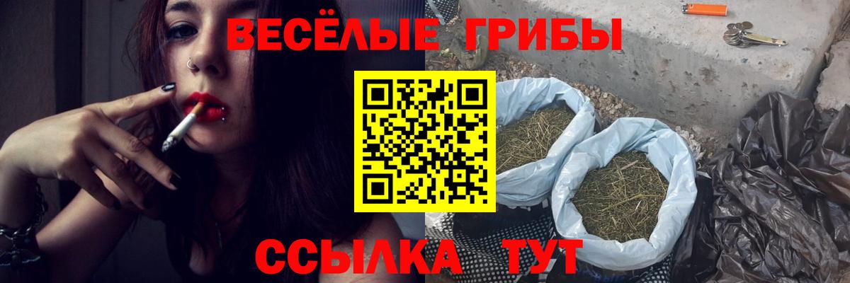 Галлюциногенные грибы Cubensis Шадринск